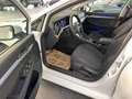Volkswagen Golf Variant Golf 8 Variant 2,0TDI DSG *LED*NAVI*ACC*Sitzhei... Bianco - thumbnail 11