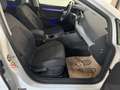 Volkswagen Golf Variant Golf 8 Variant 2,0TDI DSG *LED*NAVI*ACC*Sitzhei... Blanco - thumbnail 43