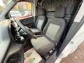 Fiat Doblo Doblò 1.3 MJT S&S PC-TN Cargo Business Wit - thumbnail 7