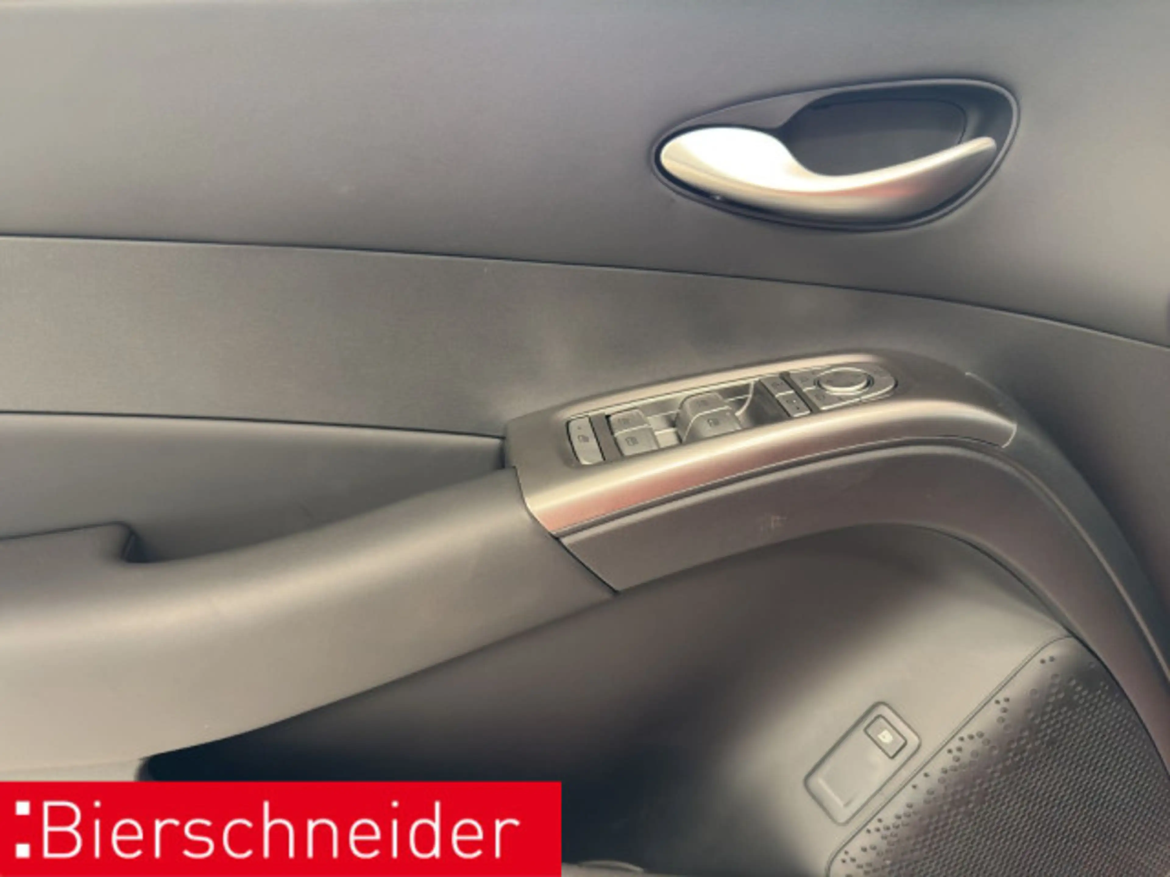 BYD Dolphin Dolphin G DM-i Boost NAVI LED SHZ — photo 9