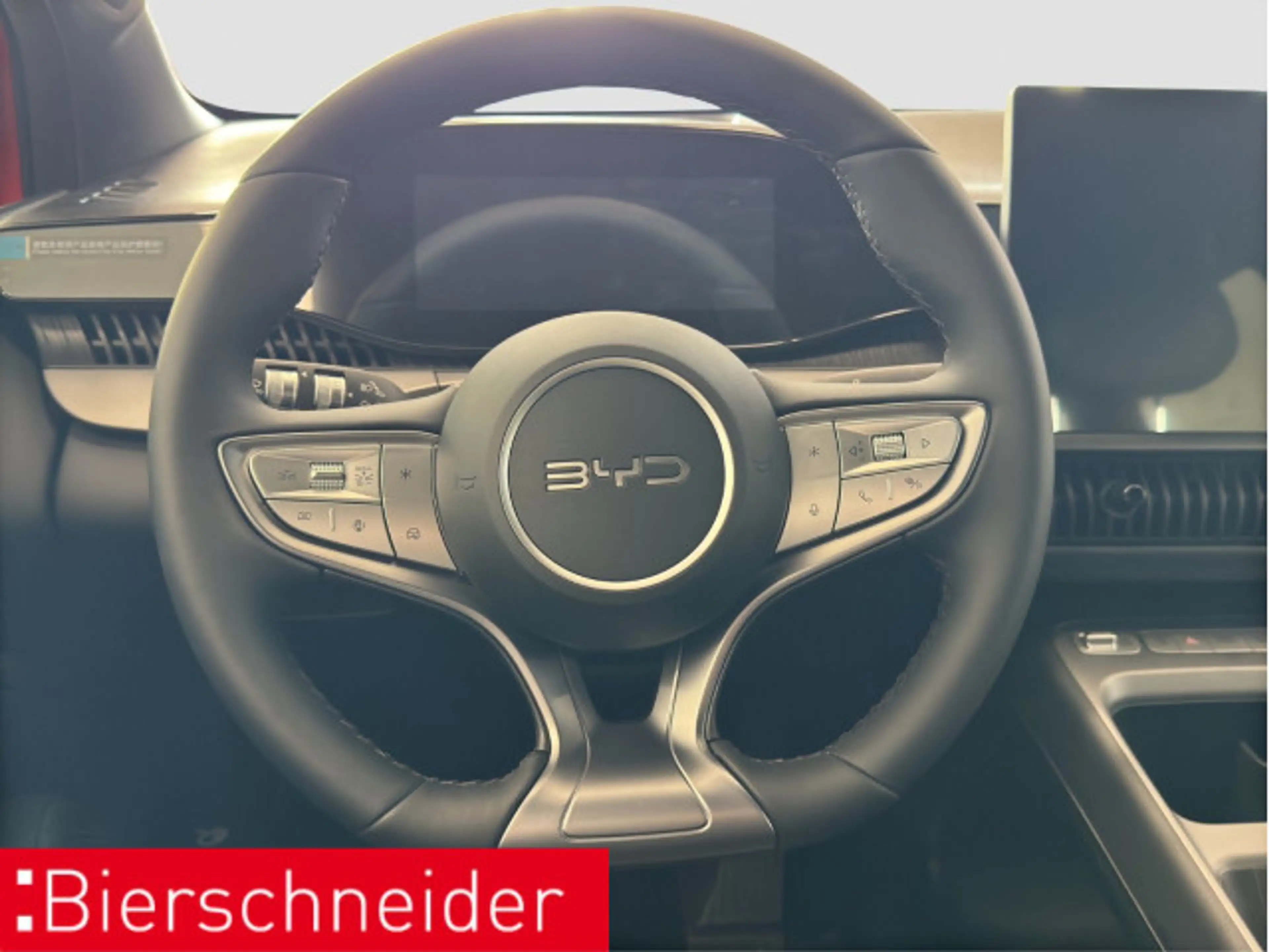 BYD Dolphin Dolphin G DM-i Boost NAVI LED SHZ — photo 11