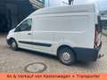 Toyota Proace L2H2 Hochdach - TÜV NEU - KLIMA - AHK Blanco - thumbnail 8