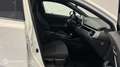 Toyota C-HR 122h Edition 2WD E-CVT MY20 - thumbnail 15
