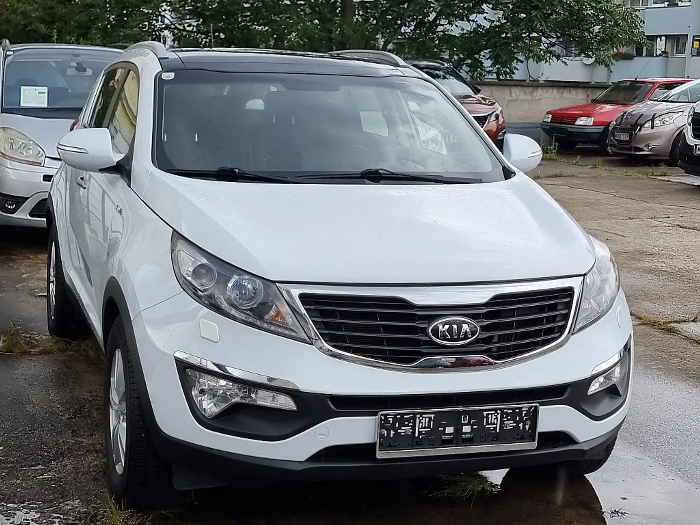 Kia Sportage Österreich Edition 2,0 CRDi AWD Weiß - 1