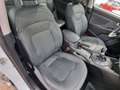 Kia Sportage Österreich Edition 2,0 CRDi AWD Weiß - thumbnail 14