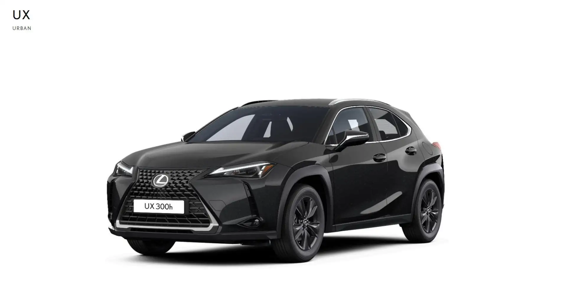 Lexus UX 300h 300h Urban Šedá - 2