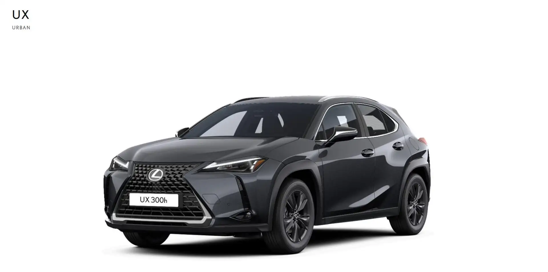 Lexus UX 300h 300h Urban Šedá - 1