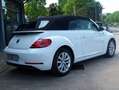 Volkswagen Maggiolino Cabrio 1.2 tsi Sound Edition B.Emotion Tecnology Wit - thumbnail 3