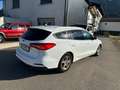 Ford Focus Focus Traveller 1,0 EcoBoost Cool Weiß - thumbnail 4