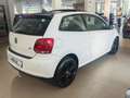 Volkswagen Polo Polo 1.2 TDI DPF 3 porte Comfortline - thumbnail 6