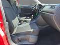 Volkswagen T-Roc 1.5 TSI UNITED LED+NAV+ACC+SHZ+RFK+PDC+17" Rot - thumbnail 12