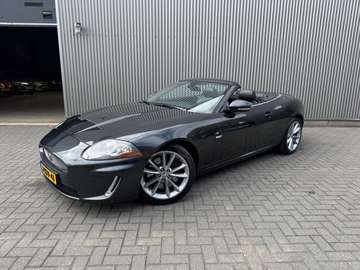 5.0 V8 Convertible Portfolio Stoelverkoeling|Stuur