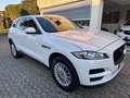 Jaguar F-Pace 2.0d Pure AWD 180CV*EURO6*PELLE - thumbnail 3