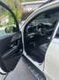 Mercedes-Benz GLE 300 d 4Matic Aut. Weiß - thumbnail 8