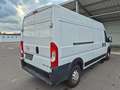 Opel Movano C Kasten HKa L3H2 3,5t Edition*Tüv Neu Blanc - thumbnail 3