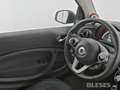 smart forTwo fortwo EQ Cabrio Exclusive Plus+22kW+JBL+Kamera BC Gris - thumbnail 5