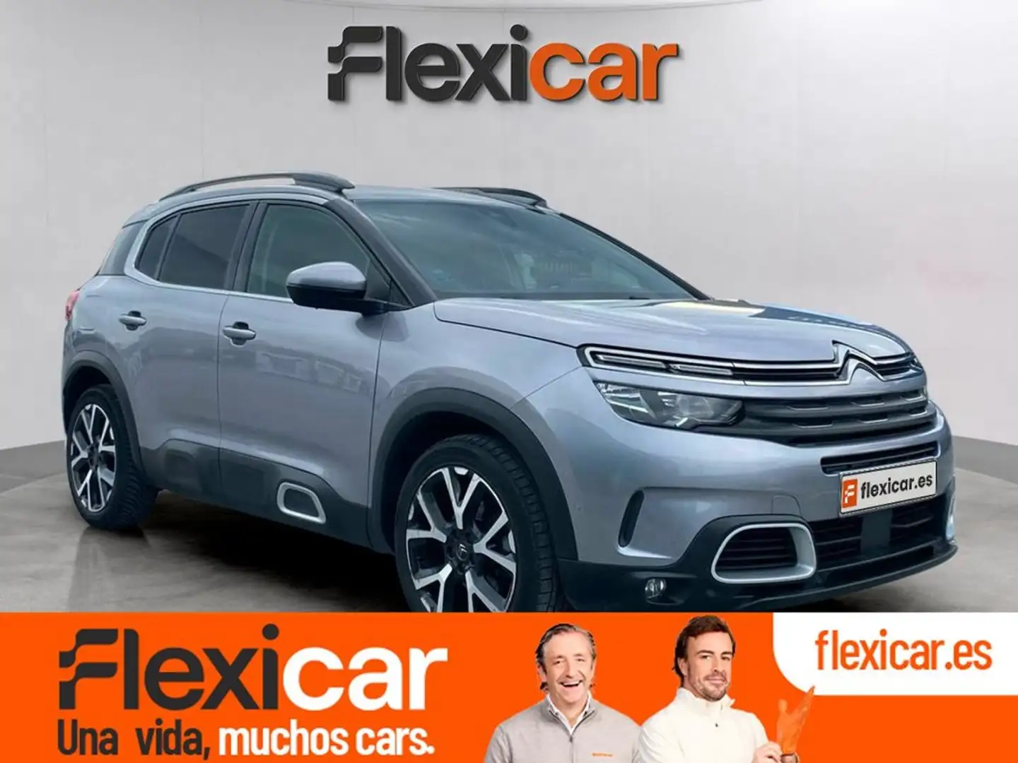 Citroen C5 Aircross PureTech S&S Feel 130 Gris - 2