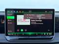 Volkswagen Tiguan Sport TDI DSG Grün - thumbnail 23