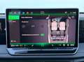 Volkswagen Tiguan Sport TDI DSG Grün - thumbnail 32