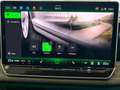Volkswagen Tiguan Sport TDI DSG Grün - thumbnail 30