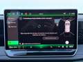 Volkswagen Tiguan Sport TDI DSG Grün - thumbnail 31