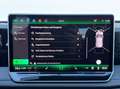 Volkswagen Tiguan Sport TDI DSG Grün - thumbnail 29