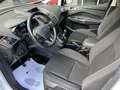 Ford C-Max 1.0 EcoBoost 92kW (125CV) Trend+ Weiß - thumbnail 34