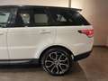 Land Rover Range Rover Sport 3.0 tdV6 HSE auto Blanc - thumbnail 4