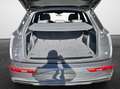 Audi Q5 50 TFSI e quattro S tronic advanced NaviPlus Ma... Grau - thumbnail 13