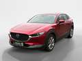 Mazda CX-30 2.0 SKYACTIV-G M Selection 360*ACC*HUD*Bose Rot - thumbnail 2