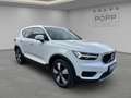 Volvo XC40 D3 FWD Momentum Pro CAM DAB LED NAV PANO SH Weiß - thumbnail 7