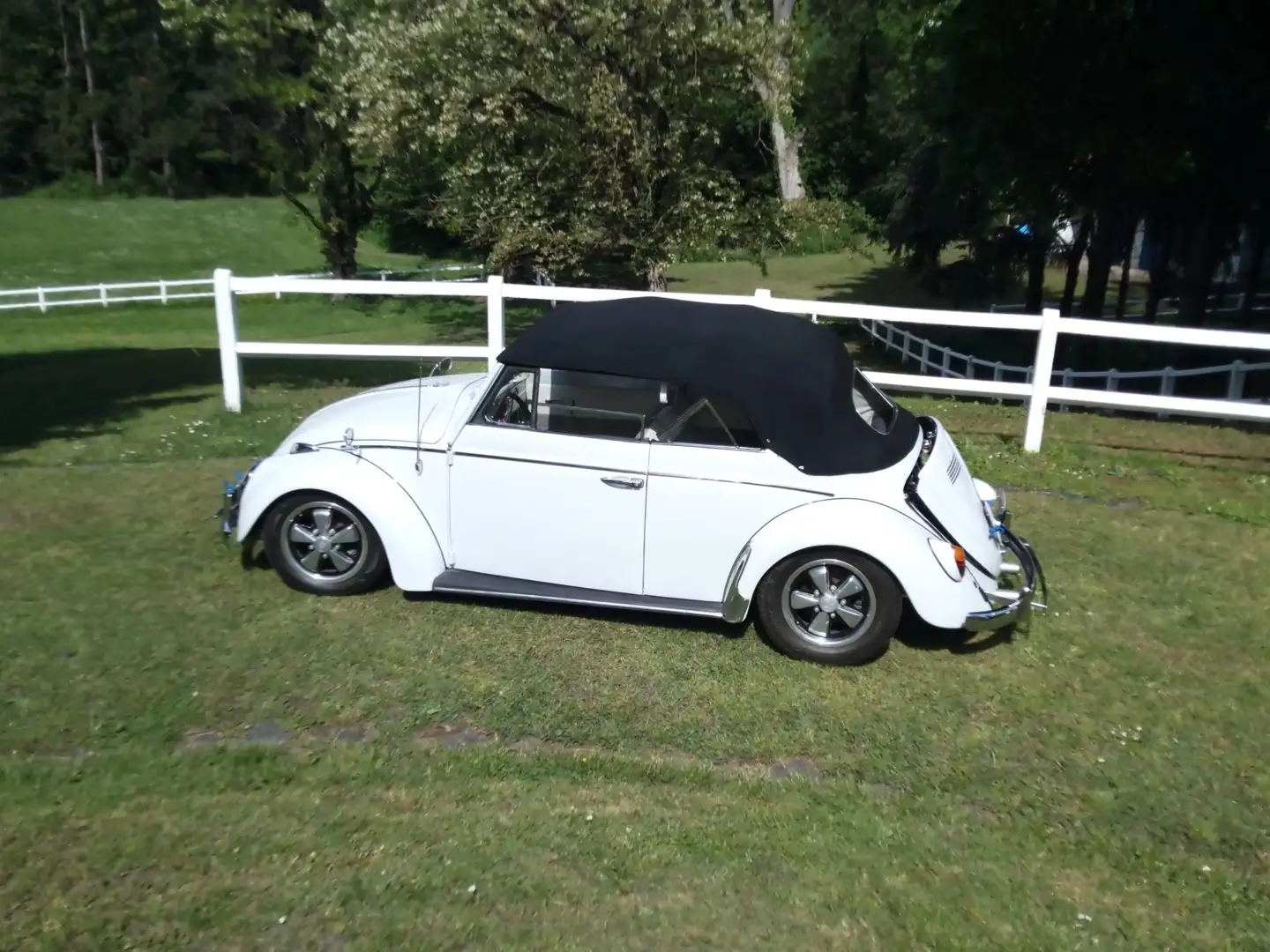 Volkswagen Käfer Alb - 1