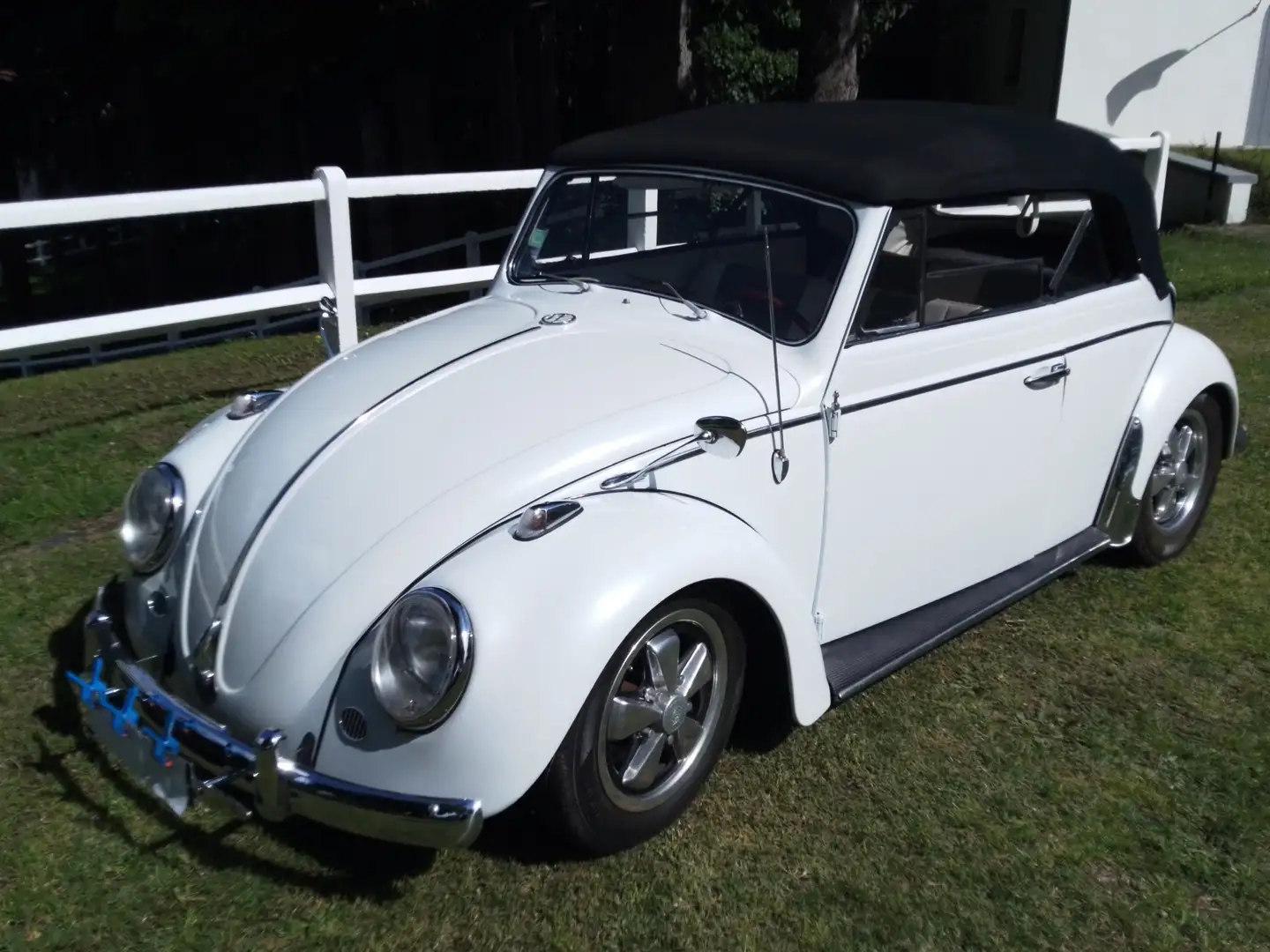 Volkswagen Käfer Alb - 2