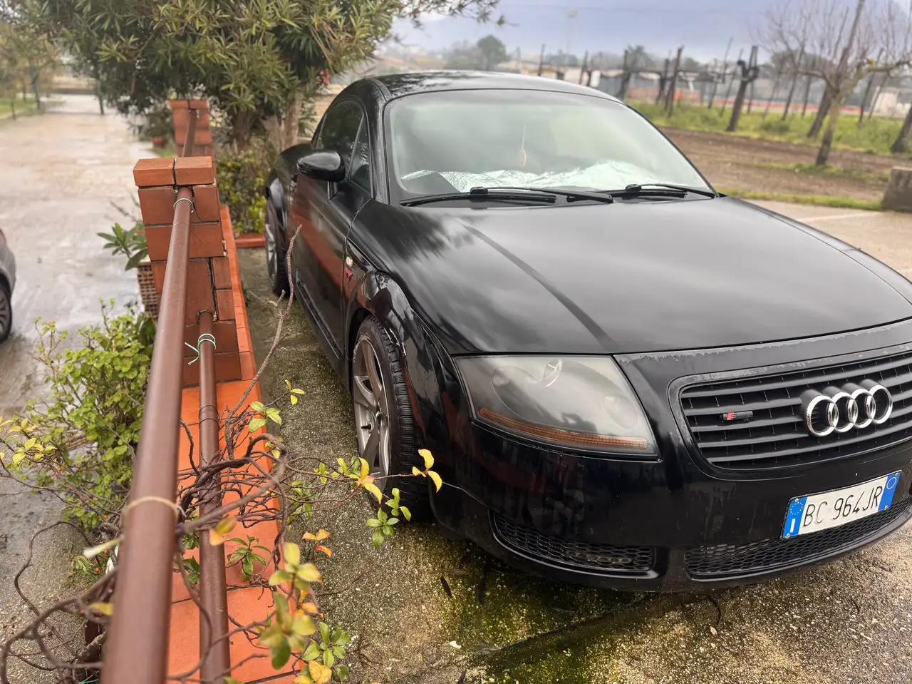 Audi TT