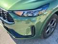 Ford Kuga Kuga IV 2024 2.5 phev ST-Line 2wd 243cv auto Verde - thumbnail 12