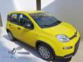 Fiat Panda Panda 1.0 firefly hybrid s Giallo - thumbnail 3