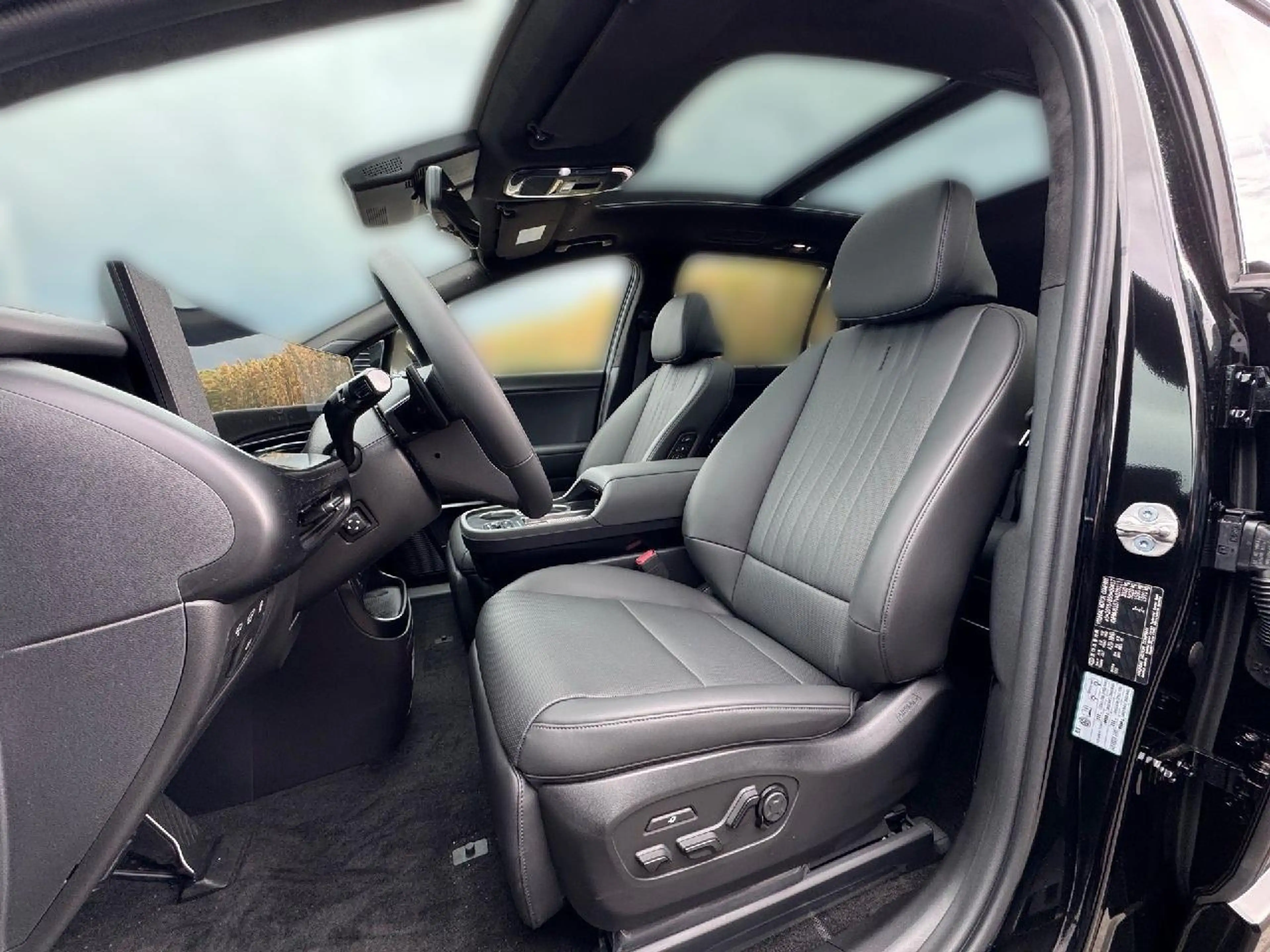 Hyundai IONIQ 9 110kWh 428PS 4WD Performance Blackline — photo 7