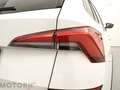 Skoda Kamiq Kamiq 1.0 TSI 110 CV ScoutLine Weiß - thumbnail 7