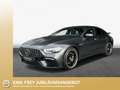 Mercedes-Benz AMG GT Basis Grey - thumbnail 1