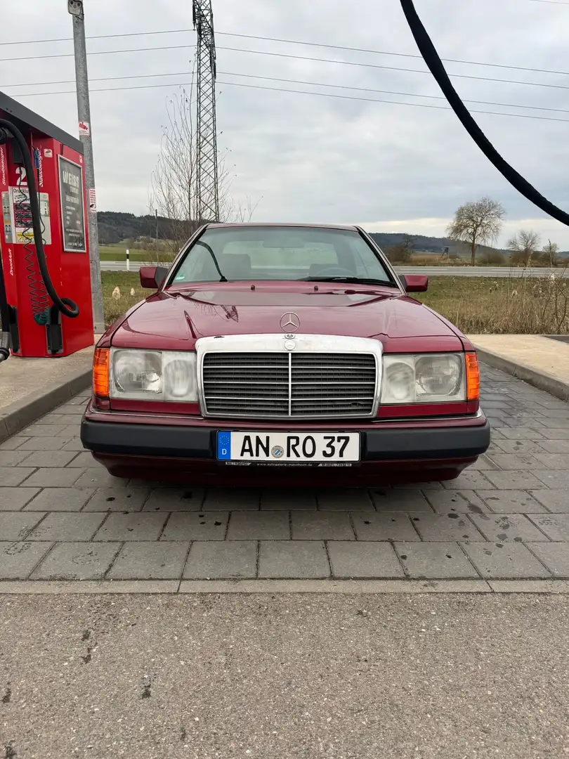 Mercedes-Benz CE 230 Rot - 2