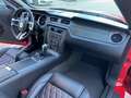 Ford Mustang 3.7 V6 305cv Coupe Aut. IVA ESPOSTA Rot - thumbnail 11