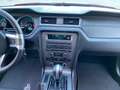Ford Mustang 3.7 V6 305cv Coupe Aut. IVA ESPOSTA Rot - thumbnail 10