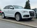 Audi Q5 2.0 TDI 3x S line quattro 1. Hand Navi Totwinkel Blanc - thumbnail 7