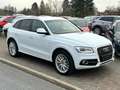 Audi Q5 2.0 TDI 3x S line quattro 1. Hand Navi Totwinkel Blanc - thumbnail 15