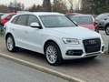 Audi Q5 2.0 TDI 3x S line quattro 1. Hand Navi Totwinkel Blanc - thumbnail 43