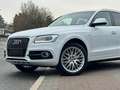 Audi Q5 2.0 TDI 3x S line quattro 1. Hand Navi Totwinkel Blanc - thumbnail 47