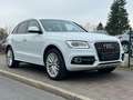 Audi Q5 2.0 TDI 3x S line quattro 1. Hand Navi Totwinkel Blanc - thumbnail 11