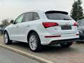 Audi Q5 2.0 TDI 3x S line quattro 1. Hand Navi Totwinkel Blanc - thumbnail 12