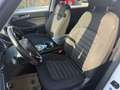 Ford Galaxy 2,0 EcoBlue SCR AWD Titanium Aut. Weiß - thumbnail 13