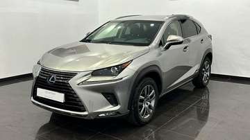300h Executive Navigation 4WD